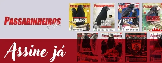 Passarinheiros - Assine já