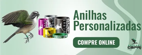 Anilhas Personalizadas - Compre Online