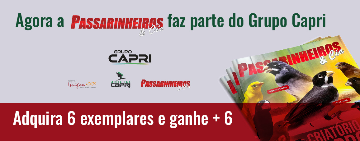 Revista Passarinheiros e Cia