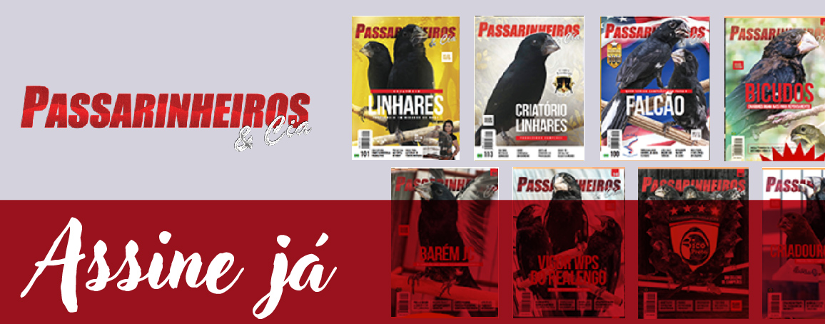 Revista Passarinheiros e Cia